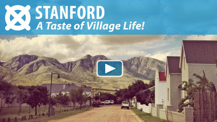 Watch the Stanford Video